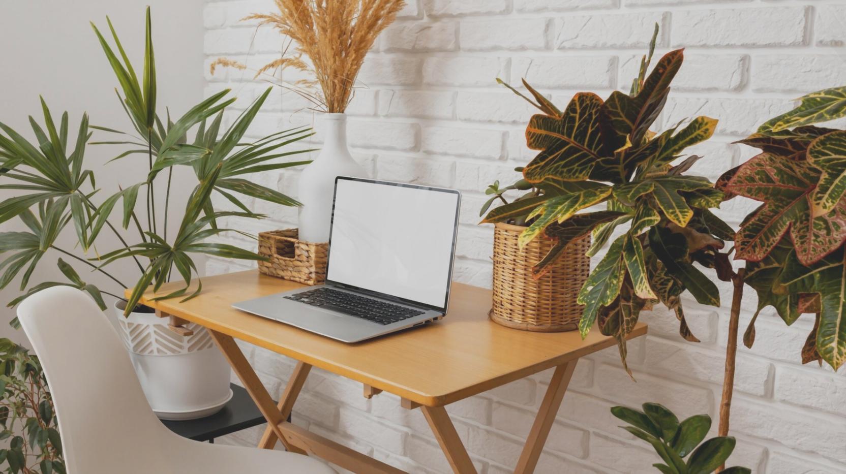 Estudio de casos financieros locales y análisis de situaciones reales